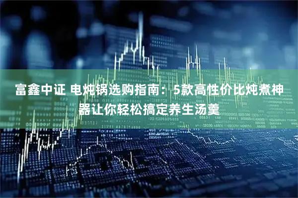 富鑫中证 电炖锅选购指南：5款高性价比炖煮神器让你轻松搞定养生汤羹