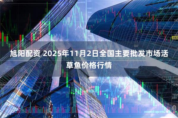 旭阳配资 2025年11月2日全国主要批发市场活草鱼价格行情