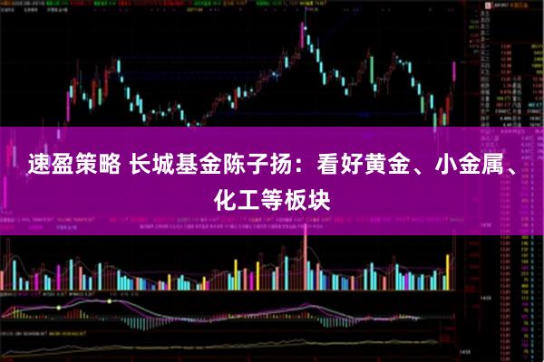 速盈策略 长城基金陈子扬：看好黄金、小金属、化工等板块