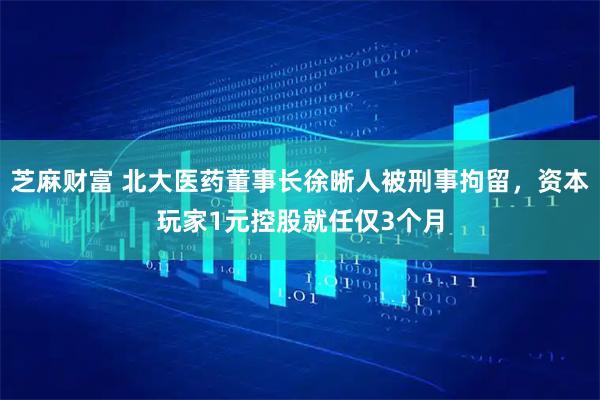芝麻财富 北大医药董事长徐晰人被刑事拘留，资本玩家1元控股就任仅3个月